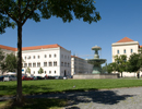 Termin für Anmeldung zu den Prüfungen (für Bachelor-Studenten) 