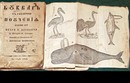 Petar Beron, Riben Bukvar (1824)